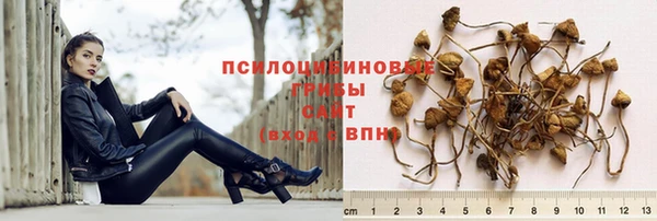 герыч Медвежьегорск