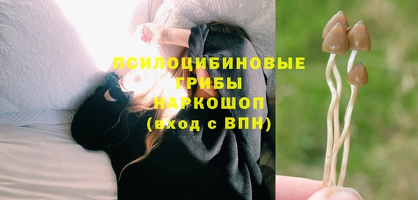 марихуана Медногорск