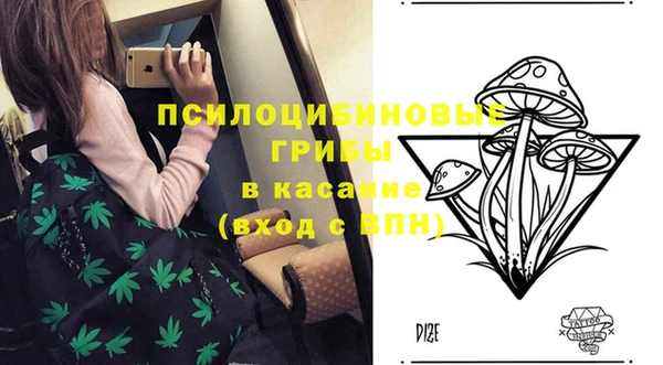 герыч Медвежьегорск